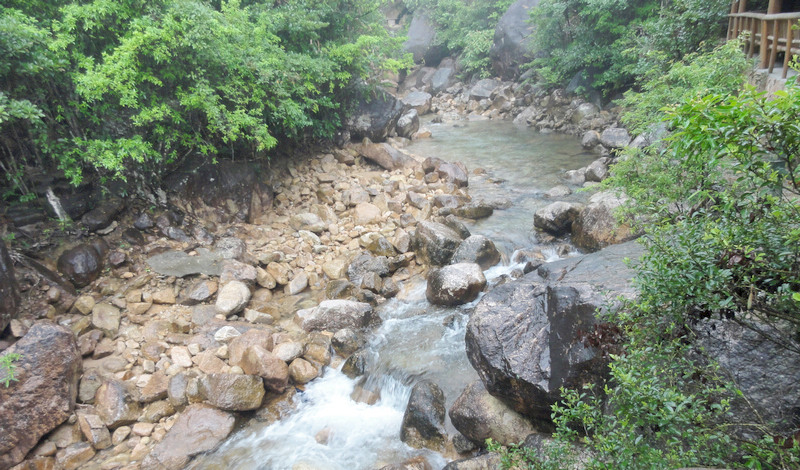 DSC02303.jpg
