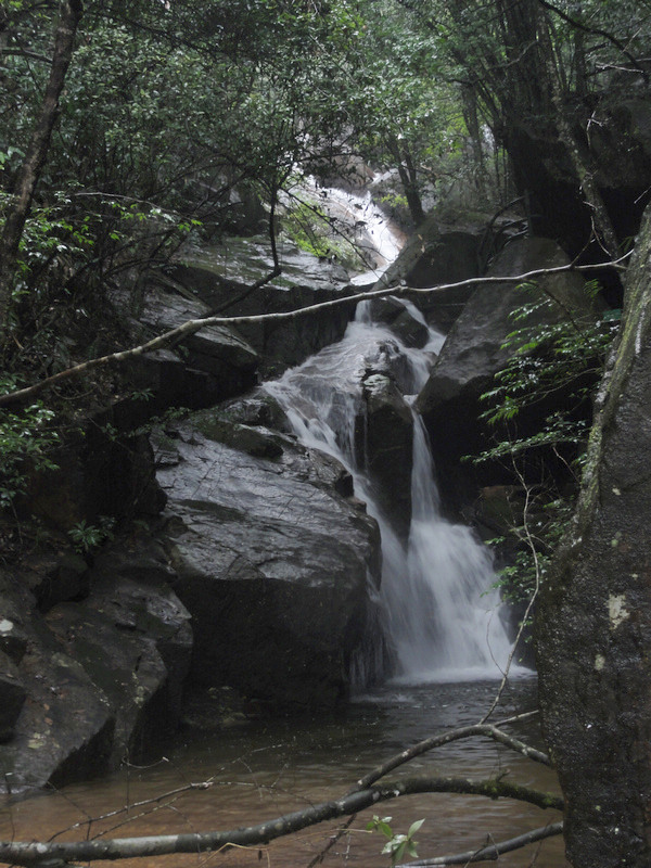 DSC02346.jpg