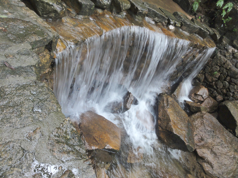DSC02348.jpg