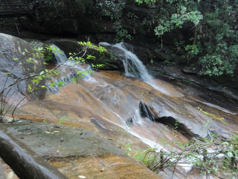 DSC02338.jpg