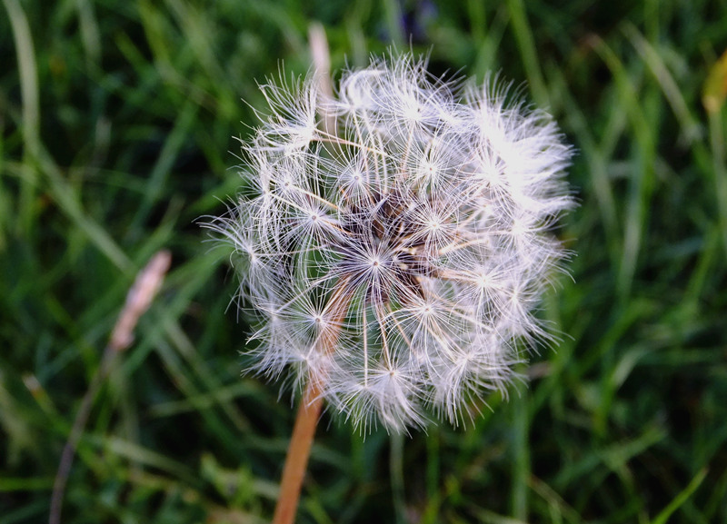 DSCF0480_����.jpg