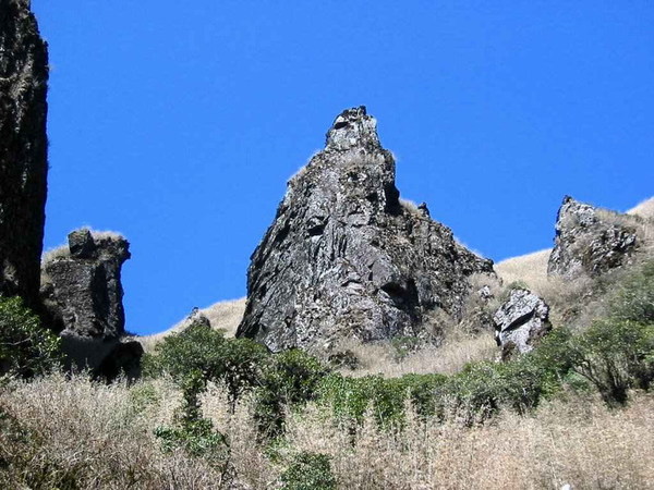 img014.JPG