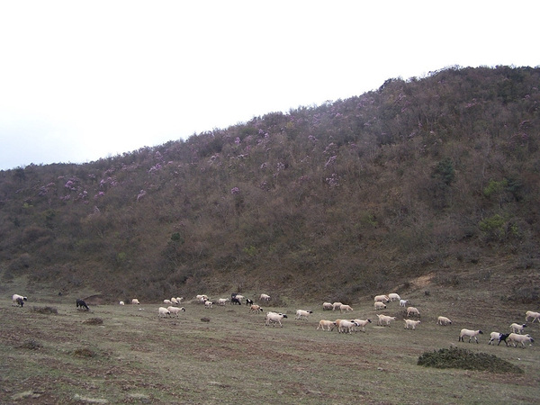 100_6158.jpg