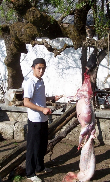 100_5880.jpg