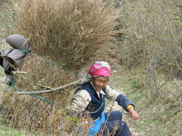 IMG_1702.jpg