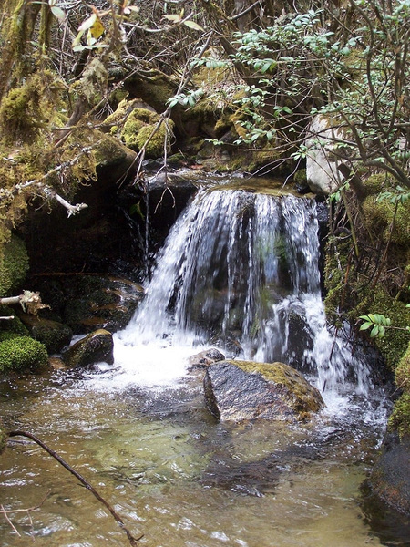 100_6176.jpg
