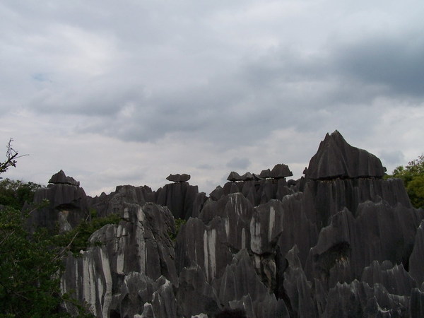 100_0472.JPG