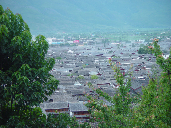 DSC05723.jpg