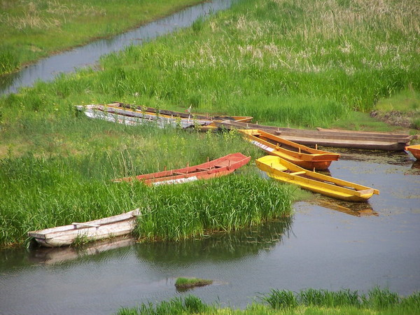 100_1054.JPG