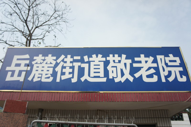 DSC01686_��С��С.JPG