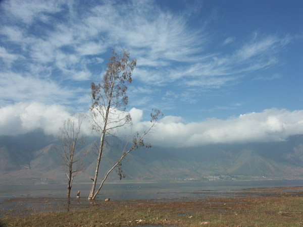 2004-11-27 050.JPG