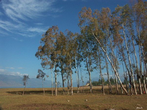 2004-11-27 058.JPG