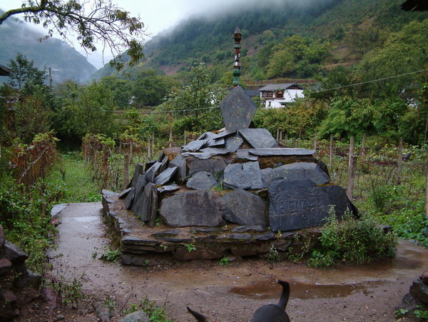 DSCF0021.JPG