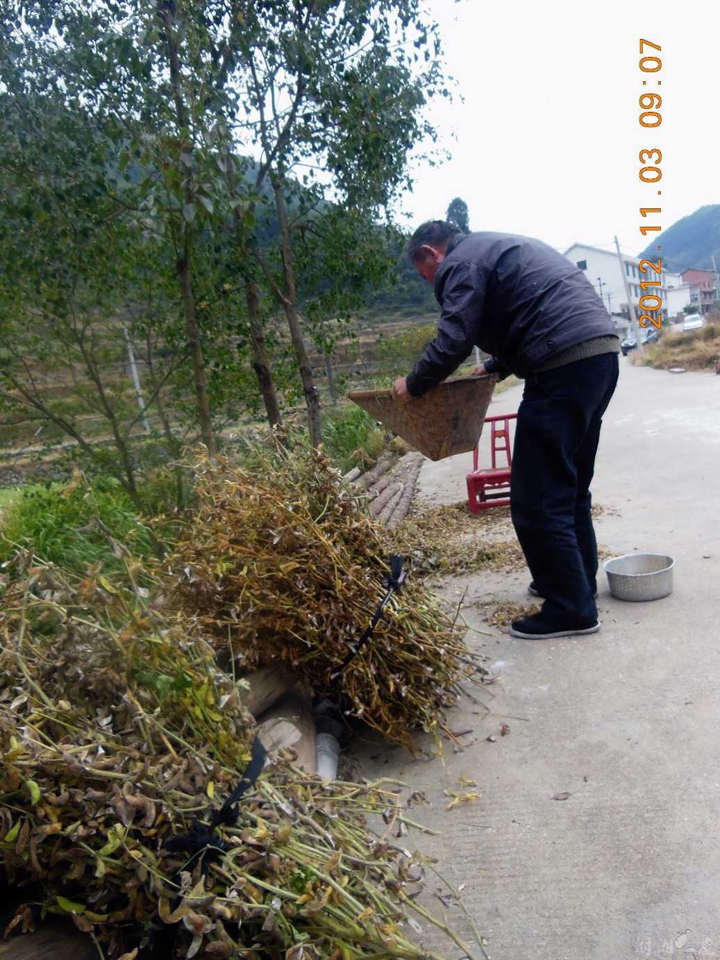 DSCN4577_241.jpg