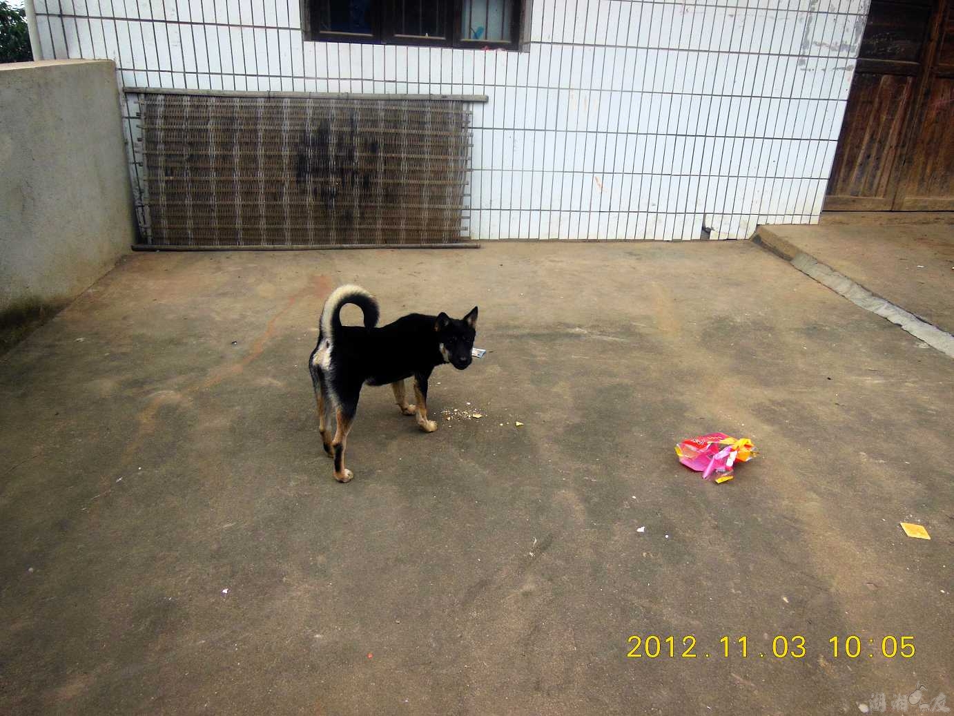 DSCN4624_279.jpg