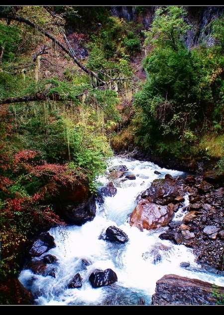 DSCF0840.JPG