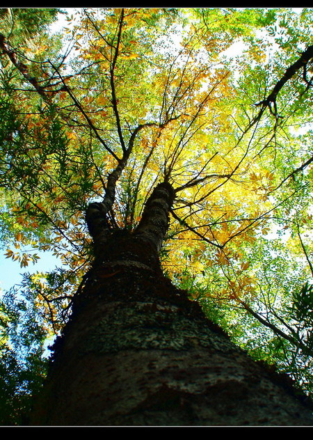 DSCF0690.JPG