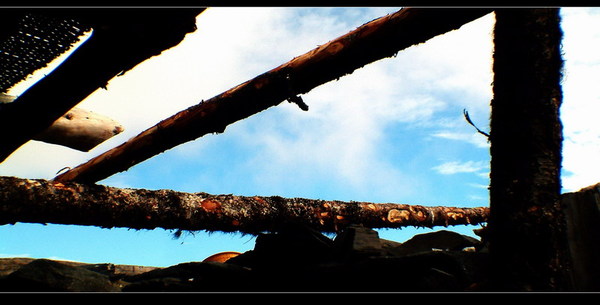 DSCF0596'.JPG