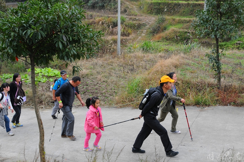 yxz 534_����.jpg