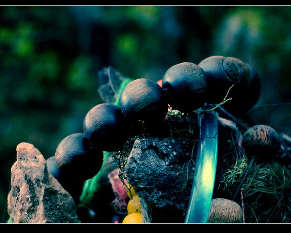 DSCF0952.JPG