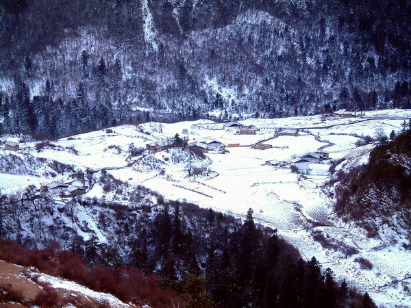 DSCF0098.JPG