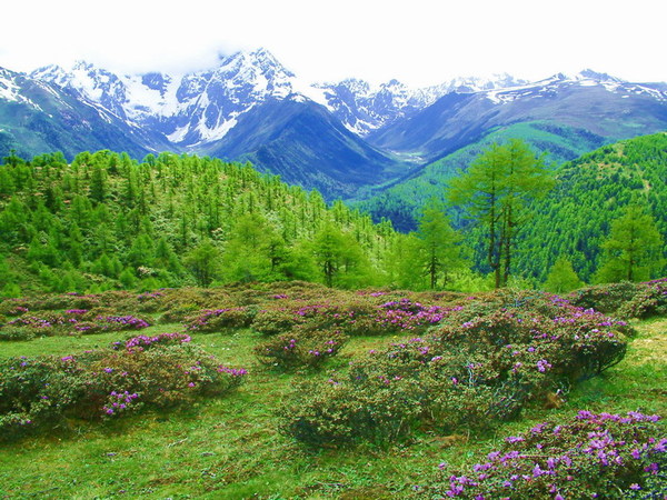 l 036.JPG