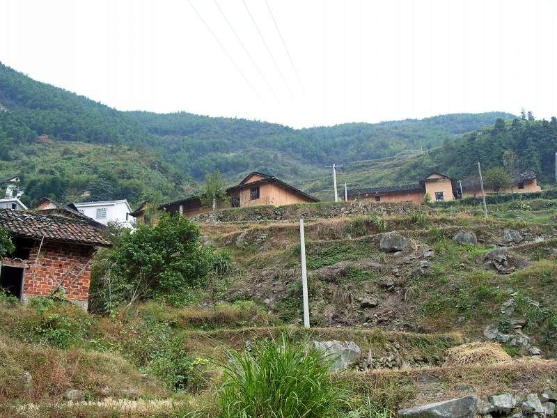 conew_s1050267.jpg