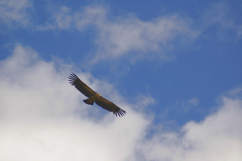 DSC_0267.JPG