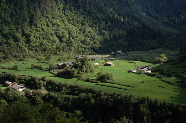 DSC_0411.JPG