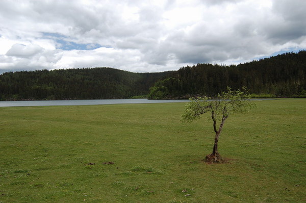 DSC_0589.JPG