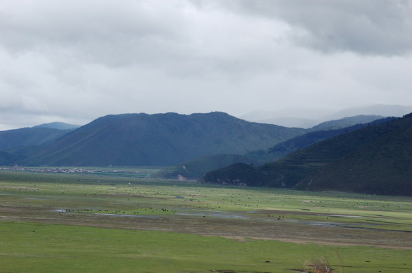 DSC_0311.JPG