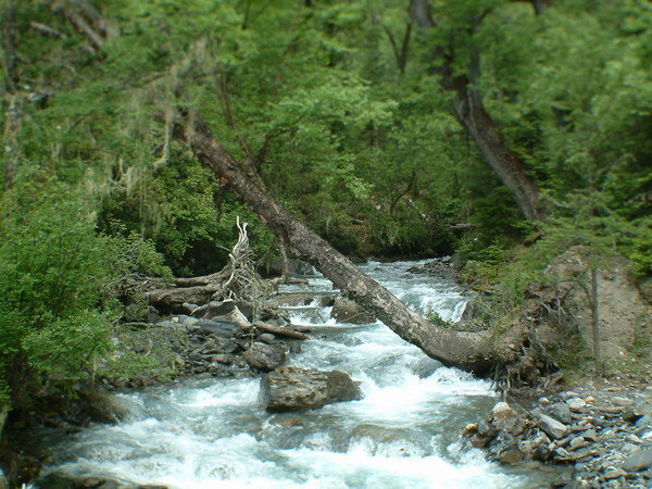 DSCF0088.JPG