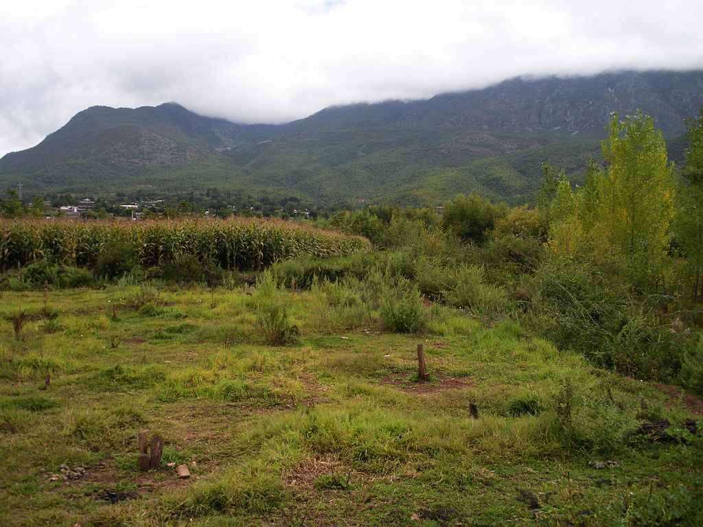 DSCN1530.jpg