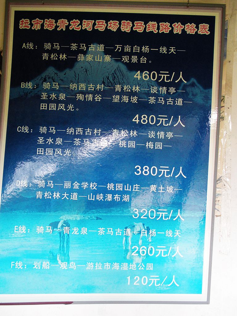 DSCN1532.jpg