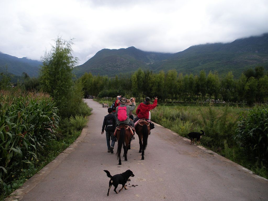 DSCN1534.jpg