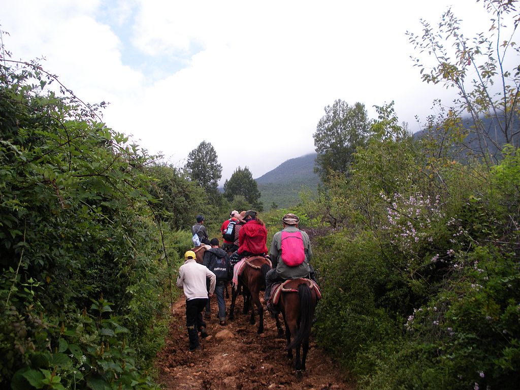 DSCN1539.jpg
