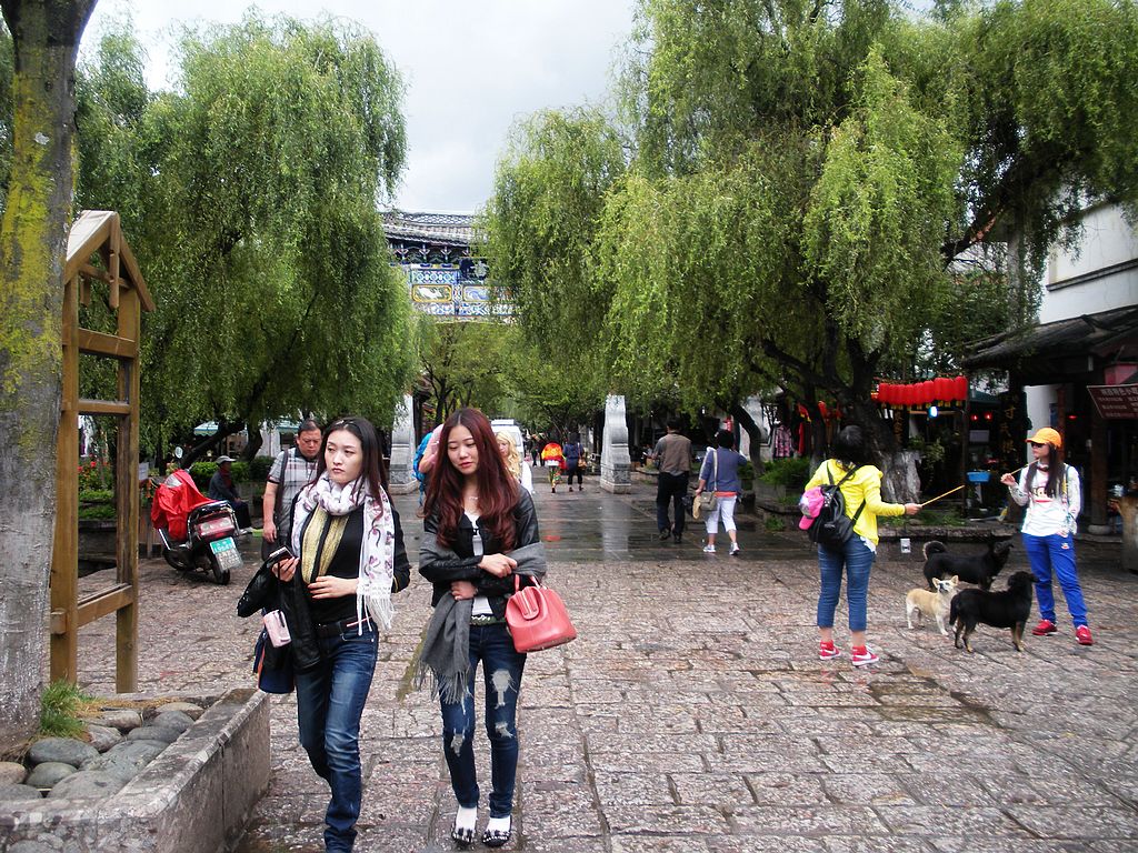 DSCN1596.jpg