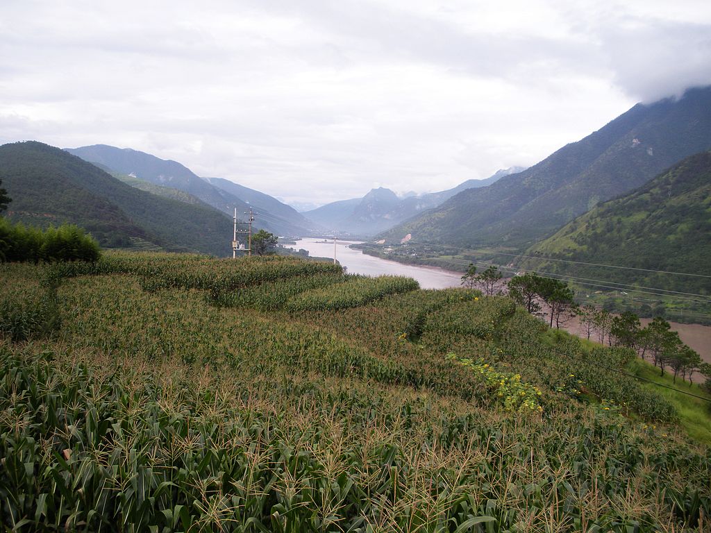 DSCN1633.jpg