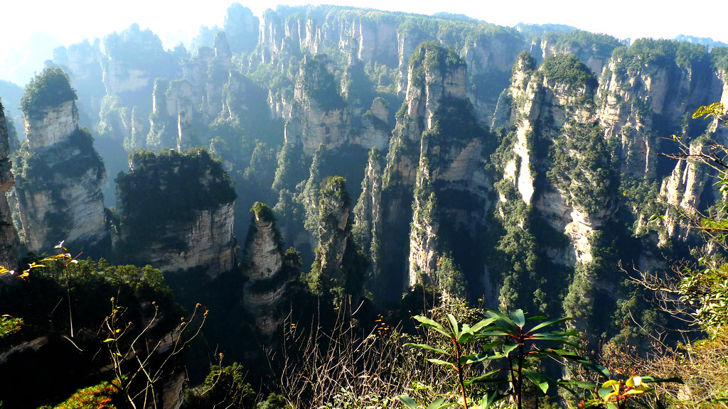 P1240220-1.jpg