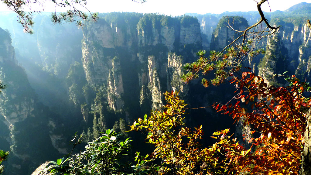 P1240315-1.jpg