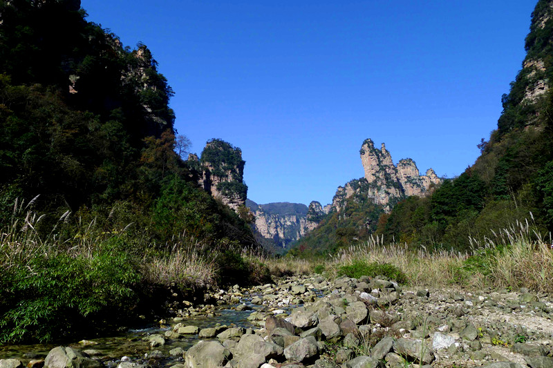 P1000690_����.jpg