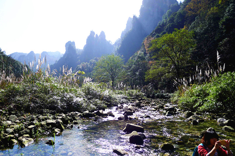 P1000692_����.jpg