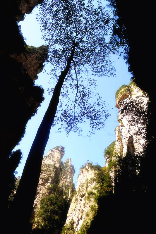 P1000732_����.jpg