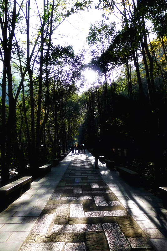 P1000742_����.jpg