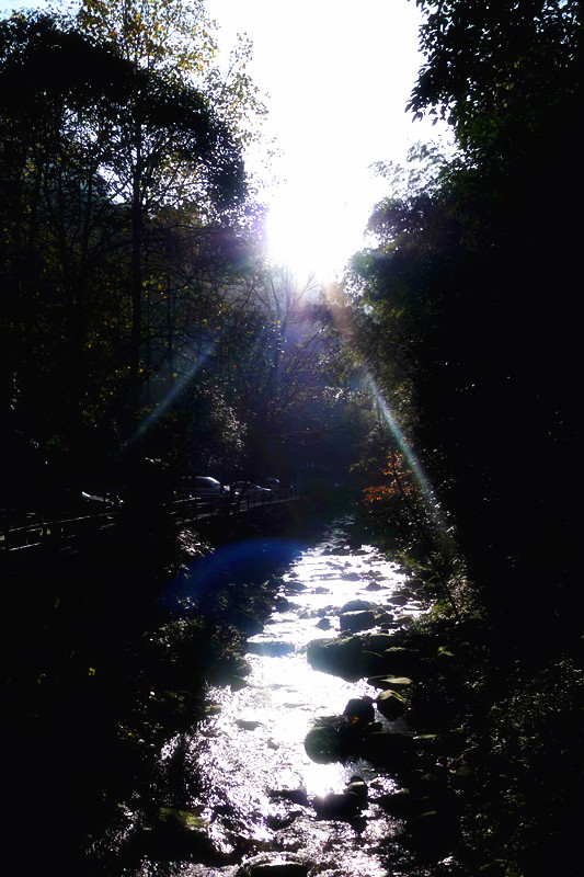 P1000743_����.jpg