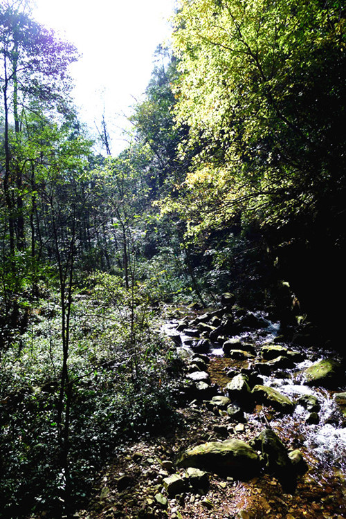 P1000720_����.jpg