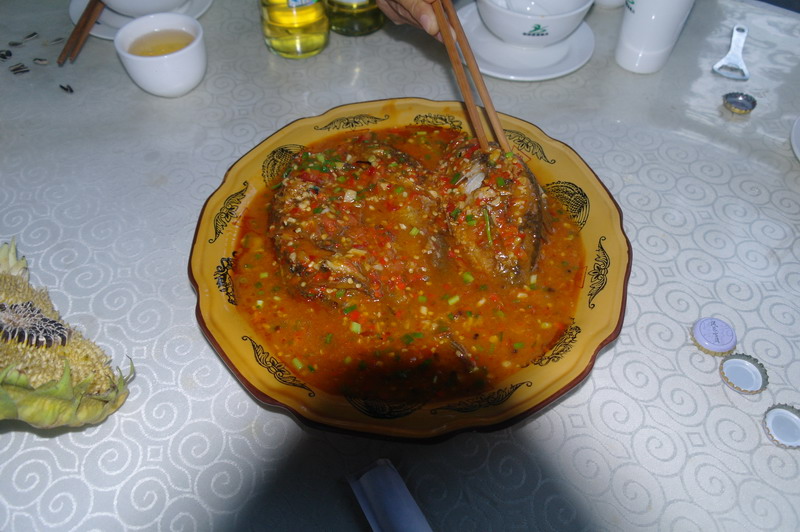 SAM_2289_��С��С.JPG