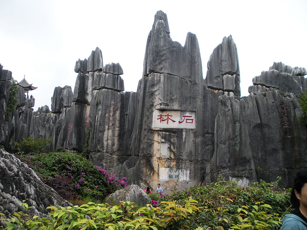 DSCN1180.jpg
