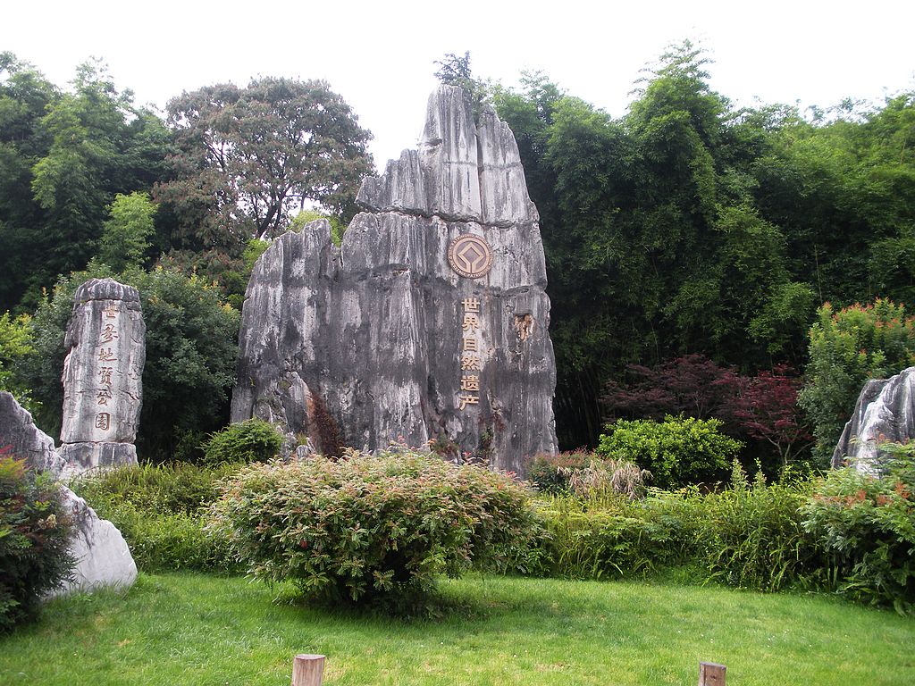 DSCN1173.jpg