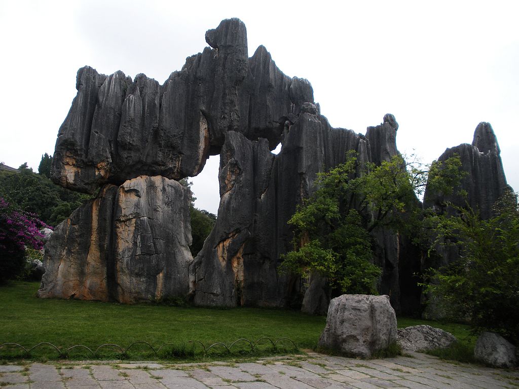 DSCN1175.jpg